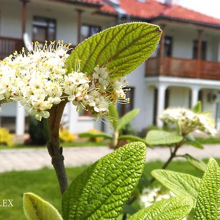 Ferienpark Kalina Complex Dolna Banya