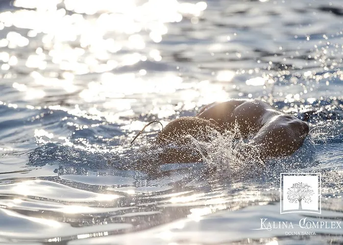 Kalina Complex Village de vacances 2*